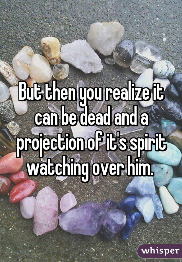 But then you realize it can be dead and a projection of it's spirit watching over him. 