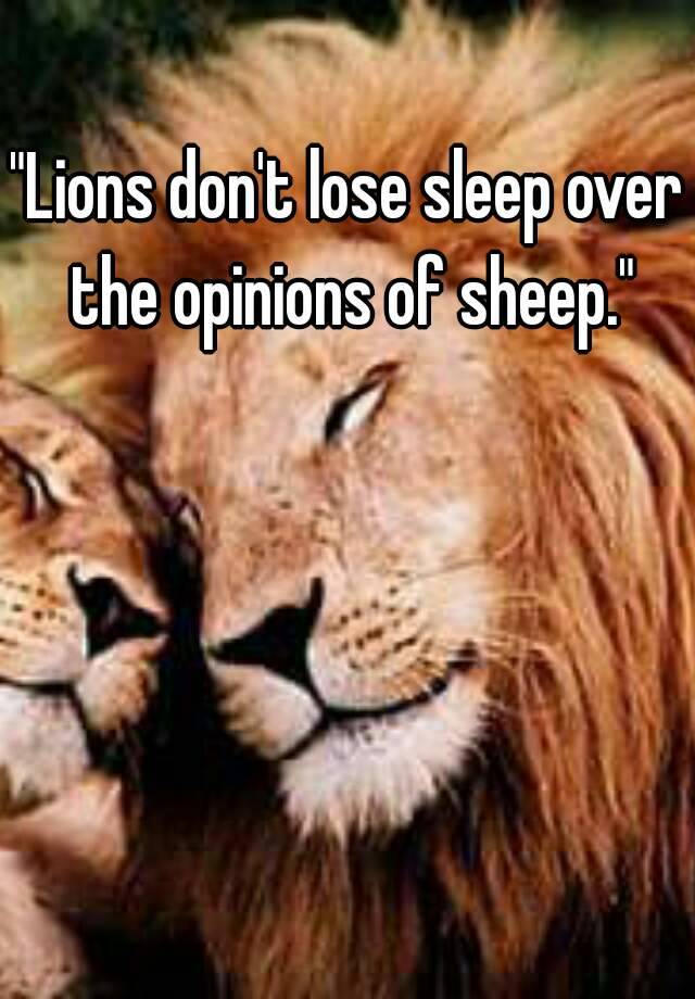 lions dont lose sleep over the opinion of sheep