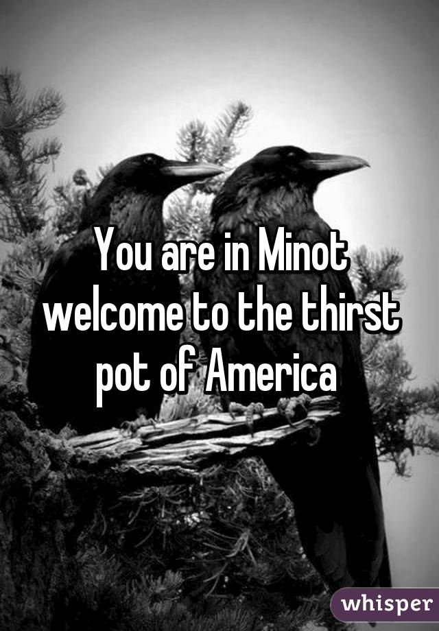 You are in Minot welcome to the thirst pot of America 