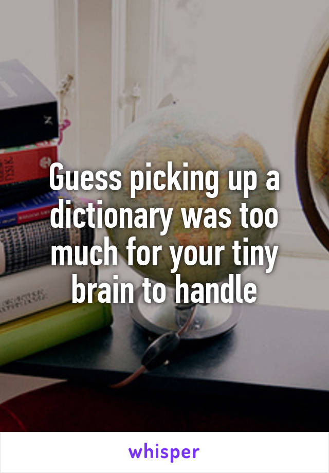 Guess picking up a dictionary was too much for your tiny brain to handle