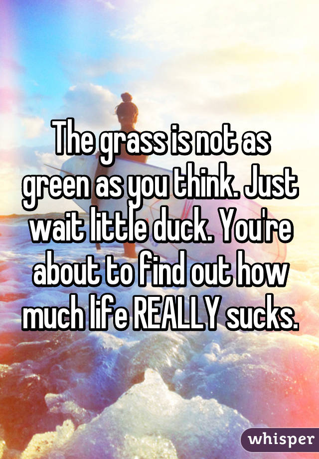 The grass is not as green as you think. Just wait little duck. You're about to find out how much life REALLY sucks.