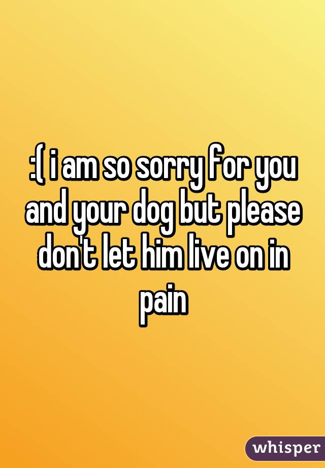 :( i am so sorry for you and your dog but please don't let him live on in pain