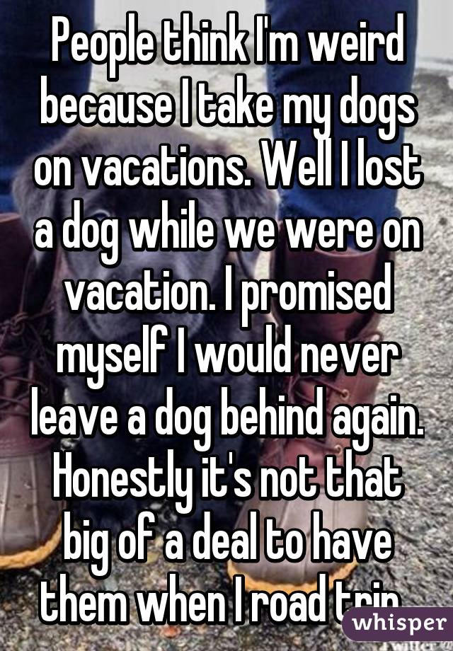 Where can I leave my dog while I am on vacation?