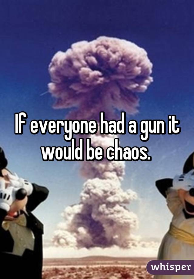 If everyone had a gun it would be chaos. 