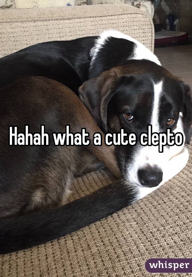 Hahah what a cute clepto