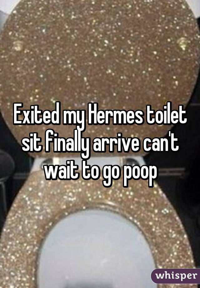 Exited my Hermes toilet sit finally arrive can't wait to go poop