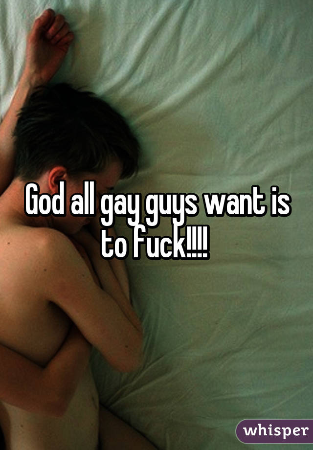 God all gay guys want is to fuck!!!! 