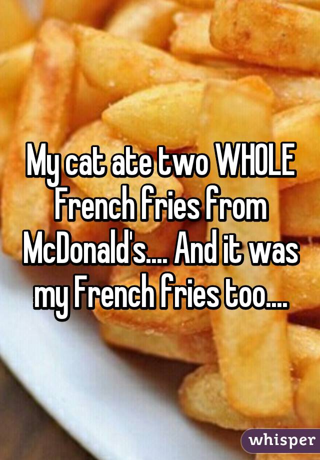 My cat ate two WHOLE French fries from McDonald's.... And it was my French fries too....