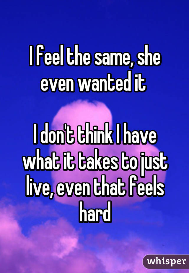 I feel the same, she even wanted it 

I don't think I have what it takes to just live, even that feels hard