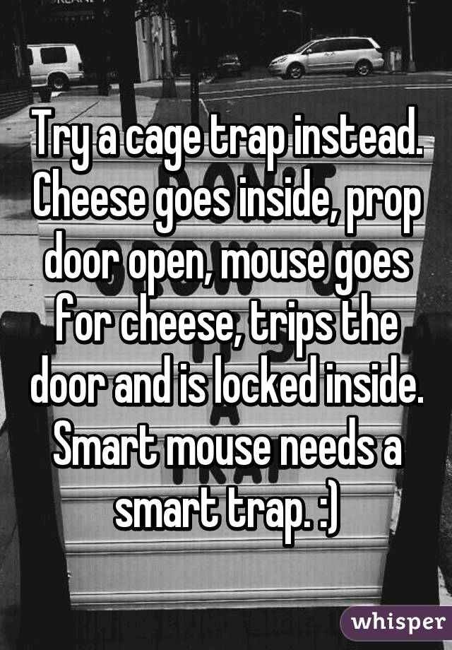 Try a cage trap instead. Cheese goes inside, prop door open, mouse goes for cheese, trips the door and is locked inside. Smart mouse needs a smart trap. :)