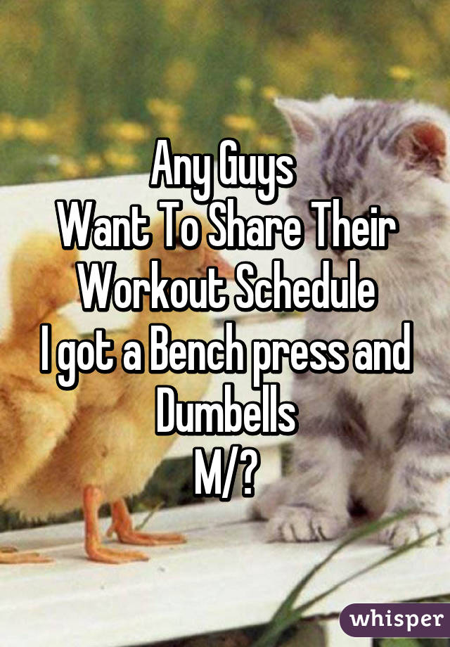 Any Guys 
Want To Share Their Workout Schedule
I got a Bench press and Dumbells
M/?