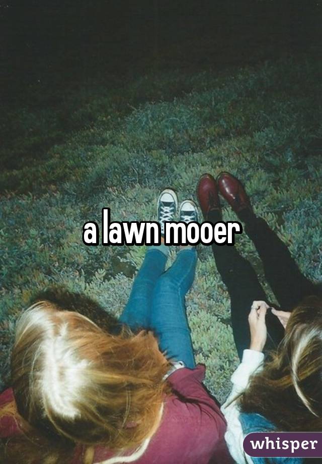 a lawn mooer