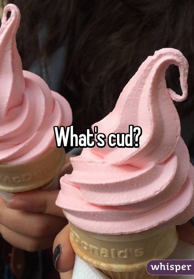 What's cud?