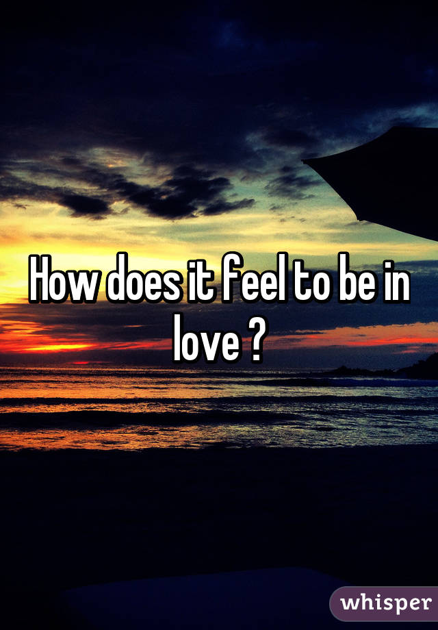 How does it feel to be in love ?