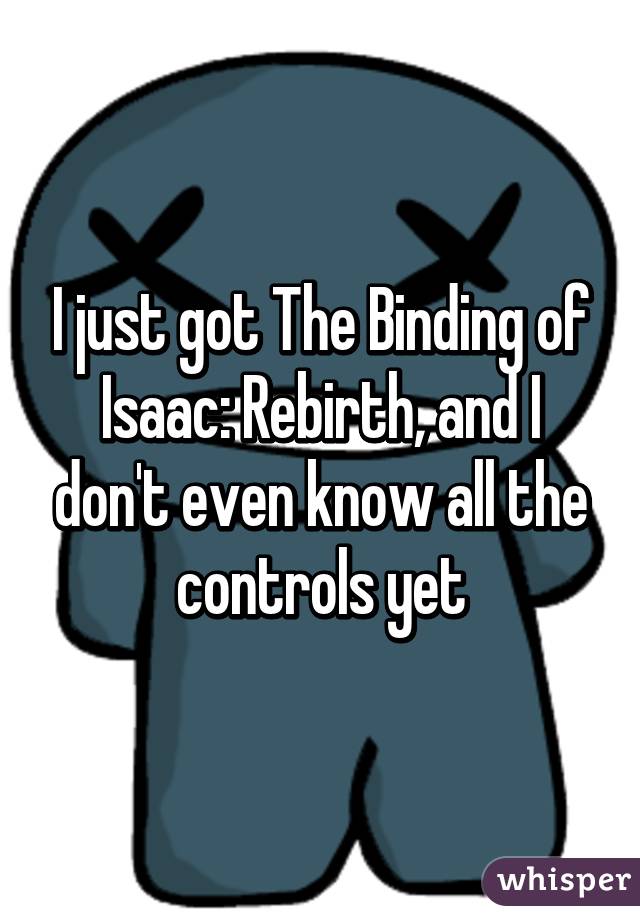 I just got The Binding of Isaac: Rebirth, and I don't even know all the controls yet