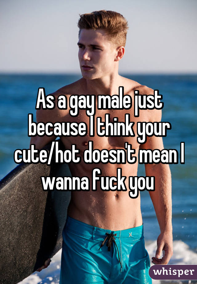 As a gay male just because I think your cute/hot doesn't mean I wanna fuck you 