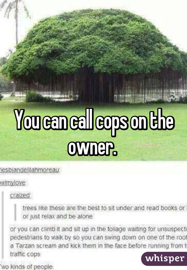 You can call cops on the owner. 