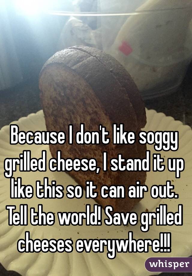 Because I don't like soggy grilled cheese, I stand it up like this so it can air out. Tell the world! Save grilled cheeses everywhere!!! 