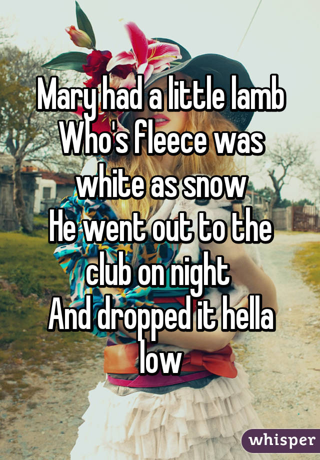 Mary had a little lamb
Who's fleece was white as snow
He went out to the club on night 
And dropped it hella low