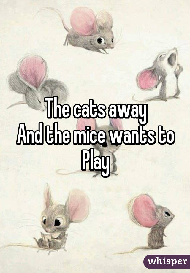 The cats away
And the mice wants to
Play