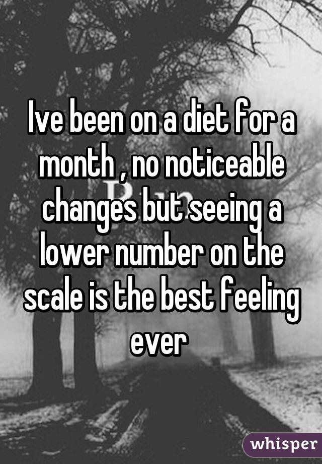 Ive been on a diet for a month , no noticeable changes but seeing a lower number on the scale is the best feeling ever 