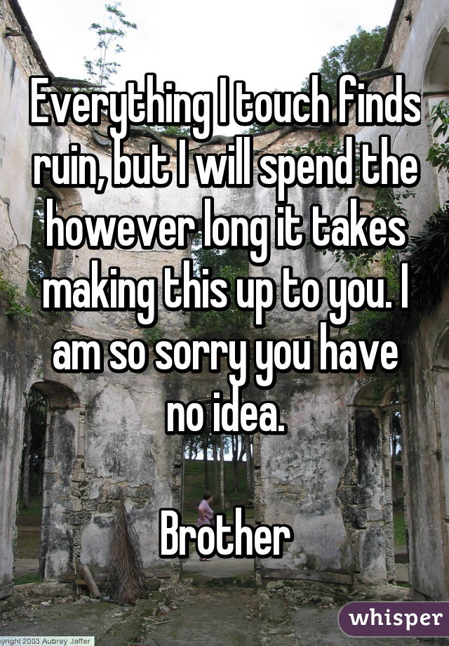 Everything I touch finds ruin, but I will spend the however long it takes making this up to you. I am so sorry you have no idea.

Brother