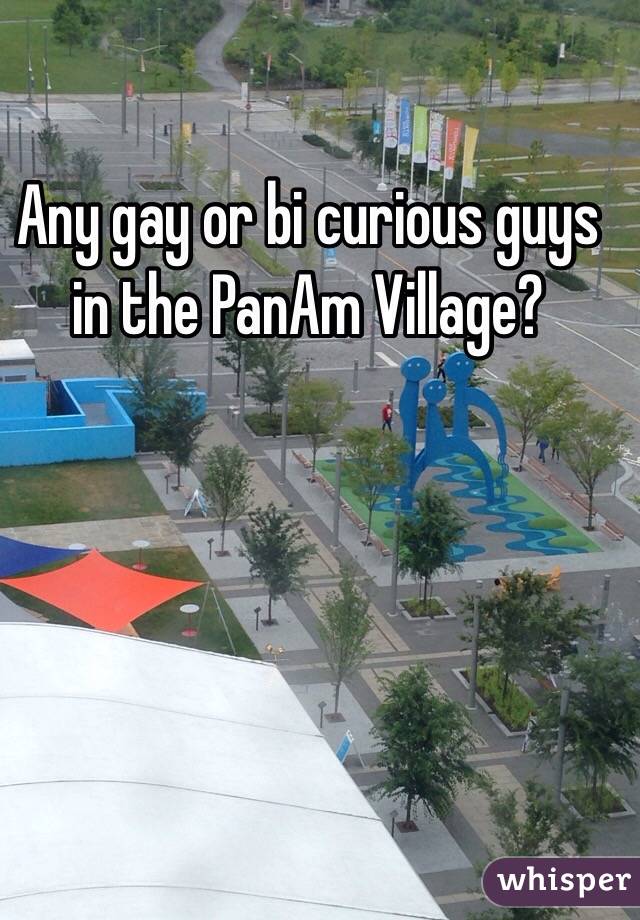 Any gay or bi curious guys in the PanAm Village? 