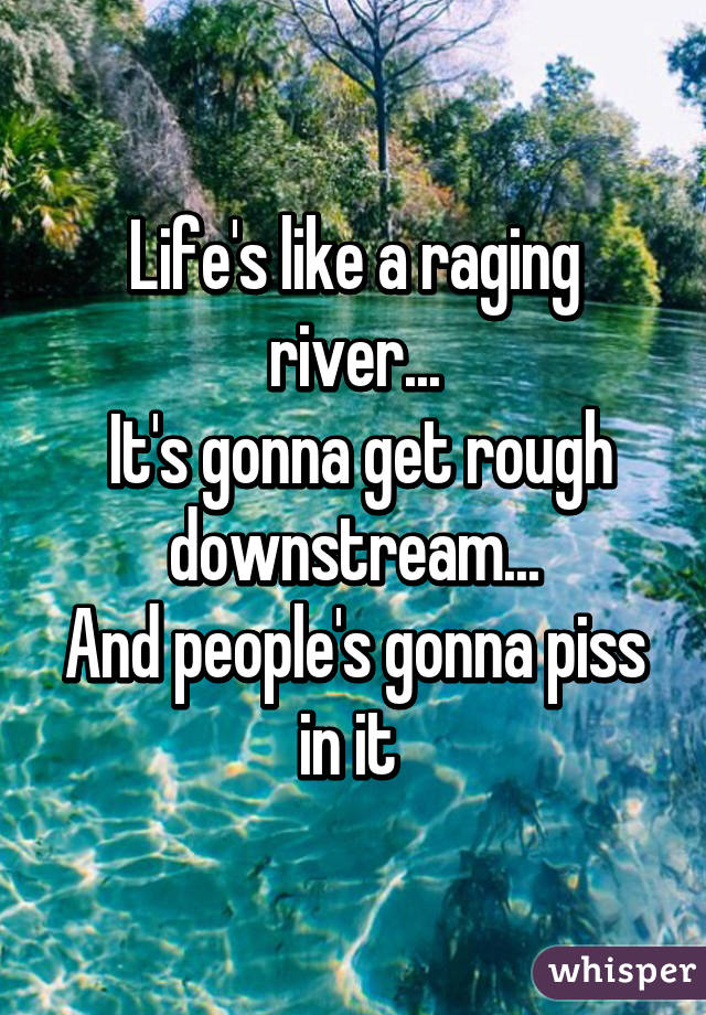 Life's like a raging river...
 It's gonna get rough downstream...
And people's gonna piss in it 