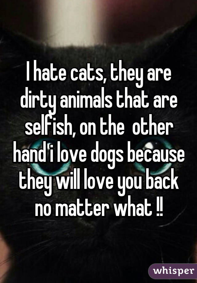 I hate cats, they are dirty animals that are selfish, on the  other hand i love dogs because they will love you back no matter what !!