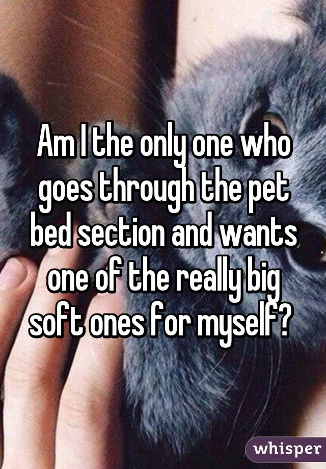 Am I the only one who goes through the pet bed section and wants one of the really big soft ones for myself? 