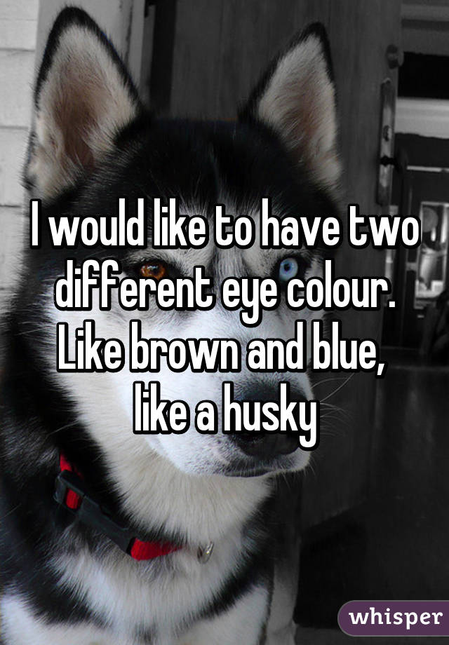 I would like to have two different eye colour.
Like brown and blue, 
like a husky