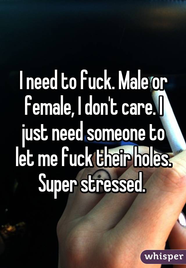 I need to fuck. Male or female, I don't care. I just need someone to let me fuck their holes. Super stressed. 