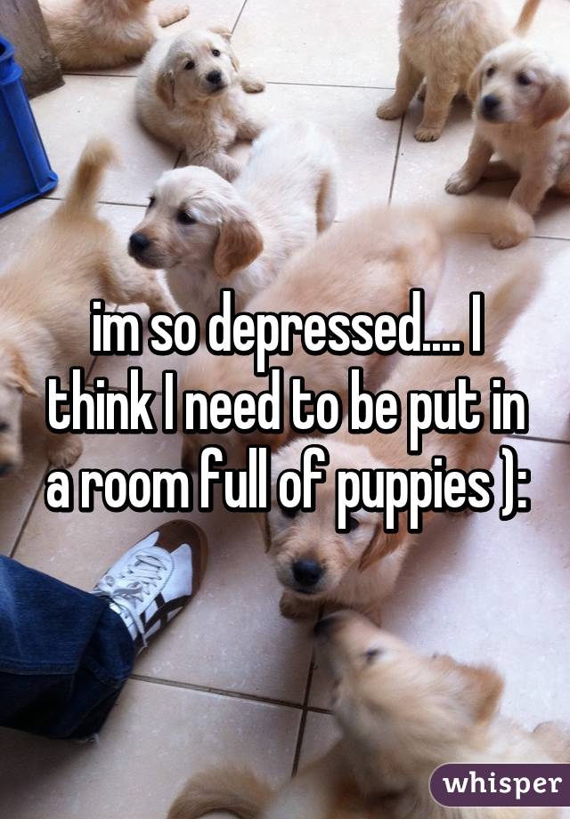 im so depressed.... I think I need to be put in a room full of puppies ):