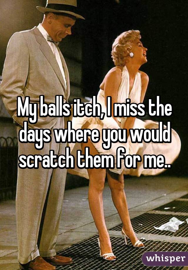 My balls itch, I miss the days where you would scratch them for me..