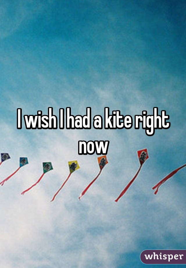 I wish I had a kite right now