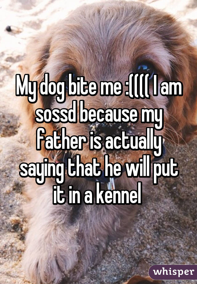 My dog bite me :(((( I am sossd because my father is actually saying that he will put it in a kennel 