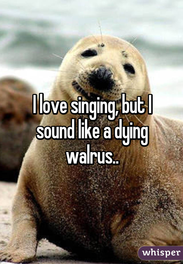 I love singing, but I sound like a dying walrus..