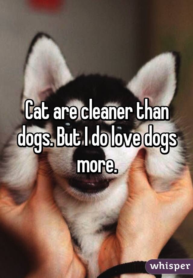 Cat are cleaner than dogs. But I do love dogs more.