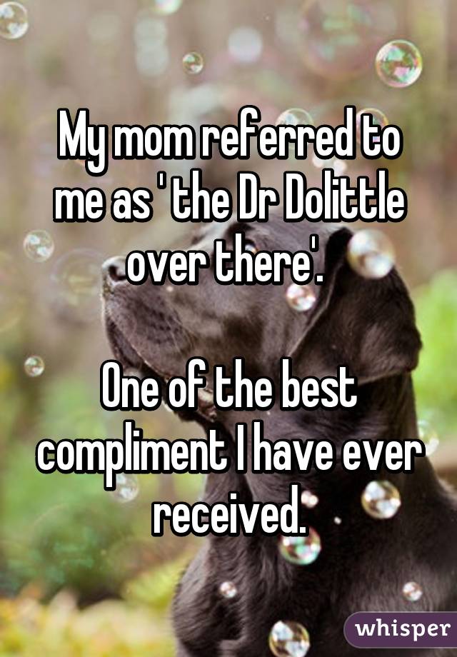 My mom referred to me as ' the Dr Dolittle over there'. 

One of the best compliment I have ever received.