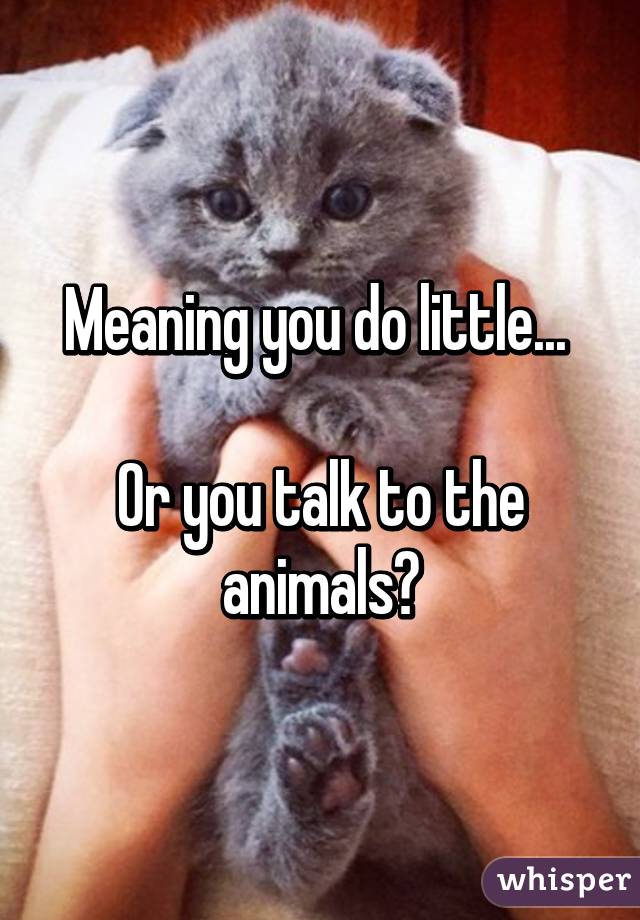 Meaning you do little... 

Or you talk to the animals?