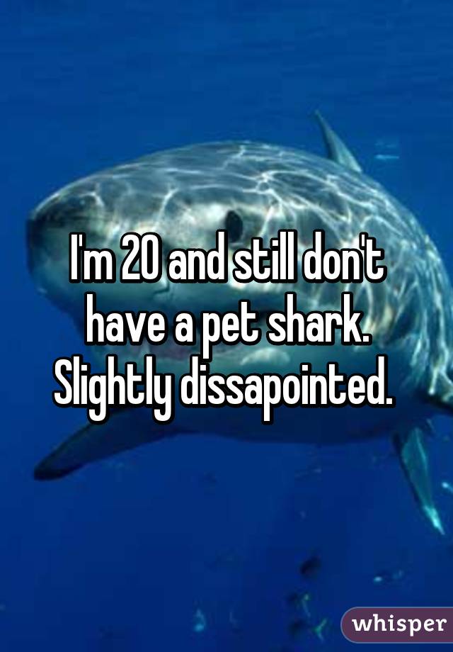 I'm 20 and still don't have a pet shark.
Slightly dissapointed. 