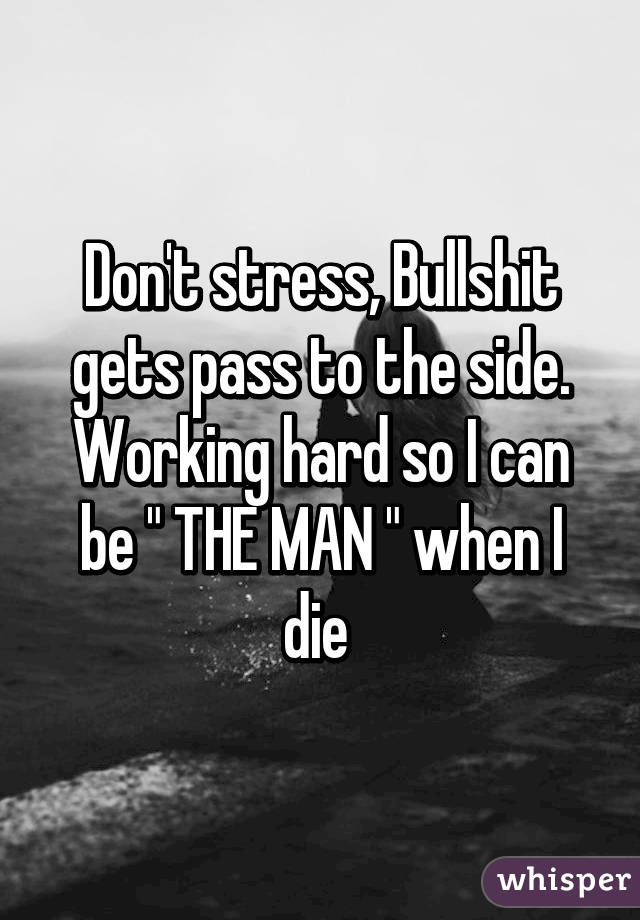 Don't stress, Bullshit gets pass to the side. Working hard so I can be " THE MAN " when I die 