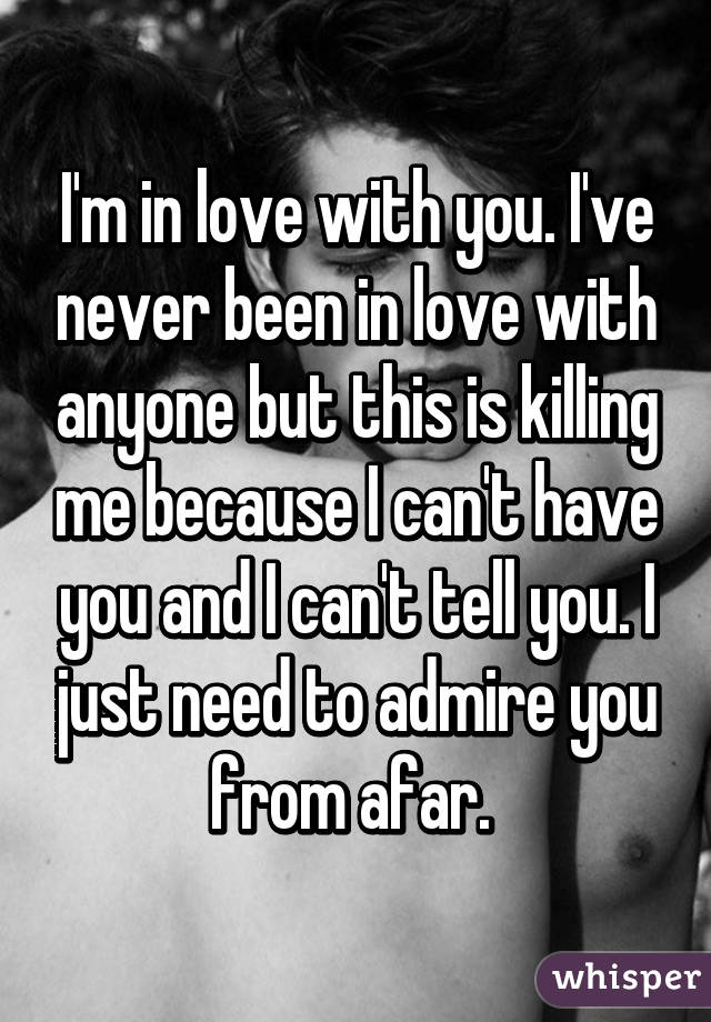 I'm in love with you. I've never been in love with anyone but this is killing me because I can't have you and I can't tell you. I just need to admire you from afar. 