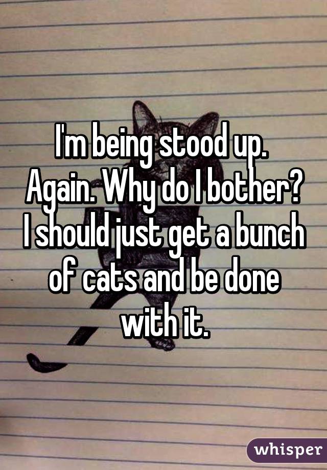 I'm being stood up.  Again. Why do I bother? I should just get a bunch of cats and be done with it.