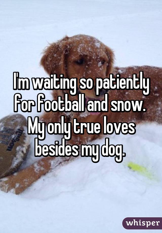 I'm waiting so patiently for football and snow. 
My only true loves besides my dog. 