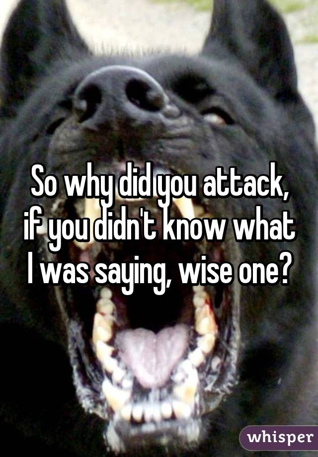 So why did you attack, if you didn't know what I was saying, wise one?