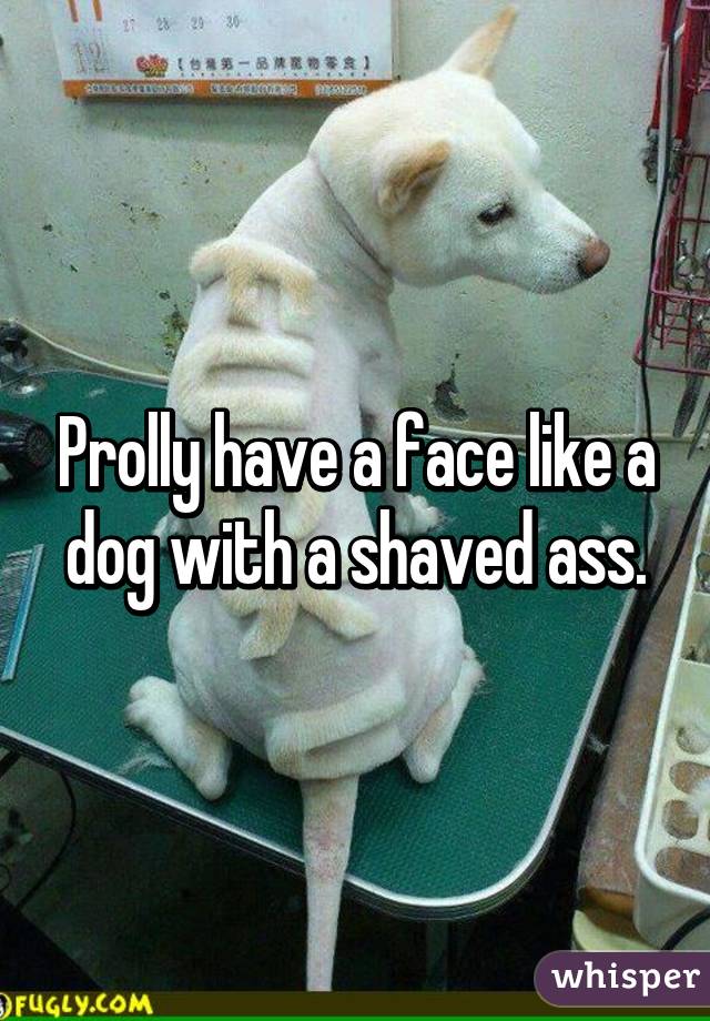 Prolly have a face like a dog with a shaved ass.