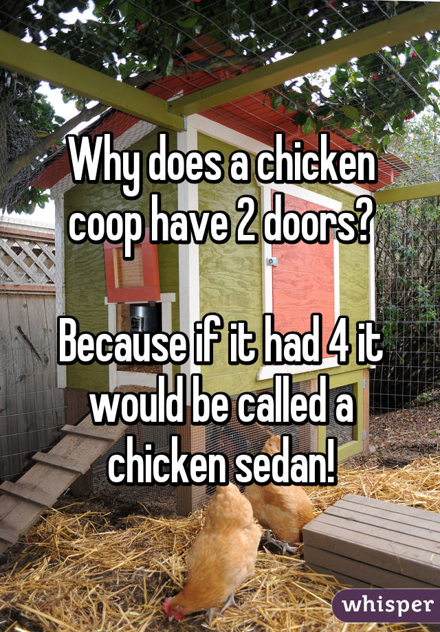 Why does a chicken coop have 2 doors?

Because if it had 4 it would be called a chicken sedan!