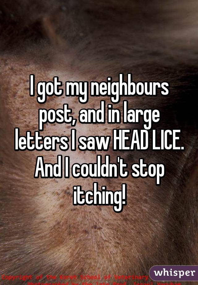 I got my neighbours post, and in large letters I saw HEAD LICE. And I couldn't stop itching!