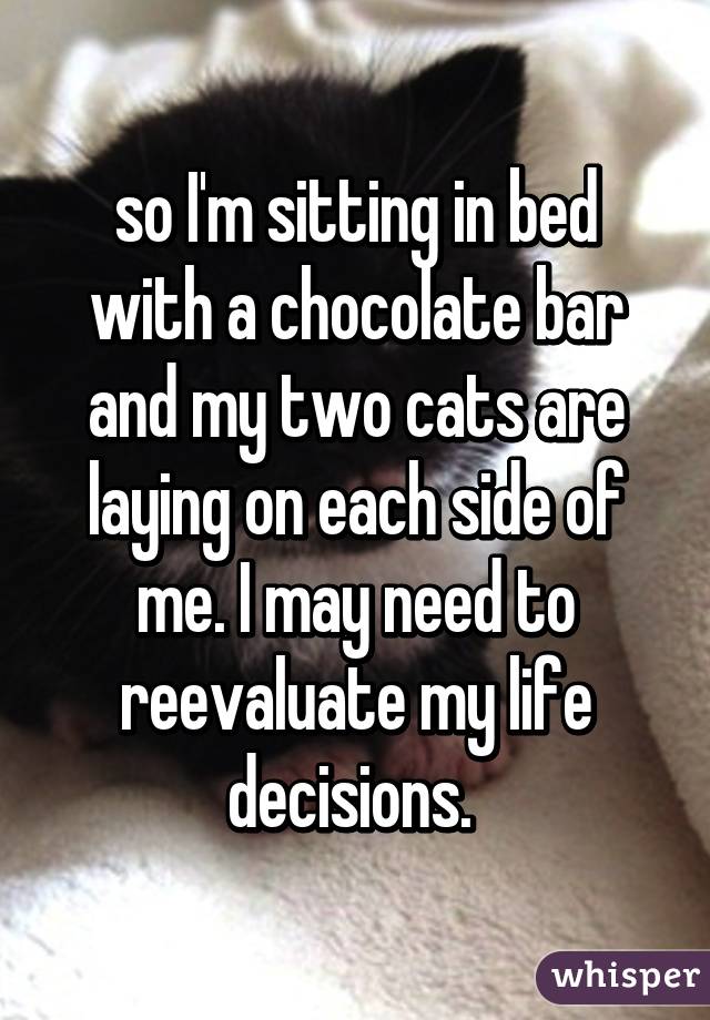 so I'm sitting in bed with a chocolate bar and my two cats are laying on each side of me. I may need to reevaluate my life decisions. 